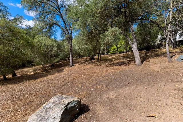 a view of a yard with plants and trees