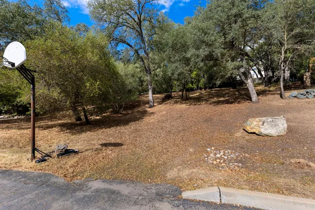 a view of a street with a tree