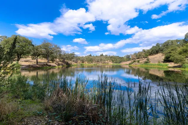 a view of lake with green space