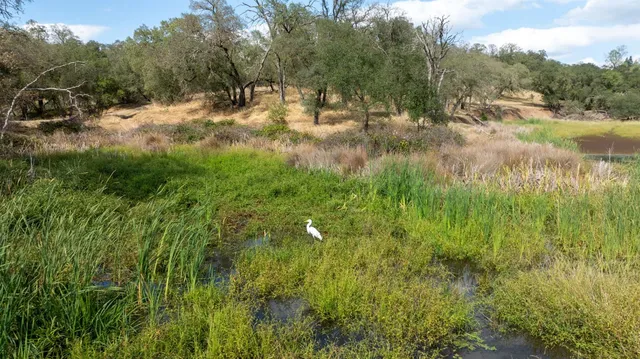 a view of yard with green space