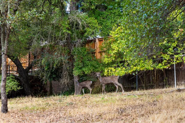 a house view with a outdoor space