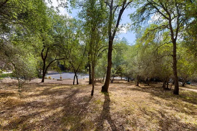 a view of outdoor space with trees