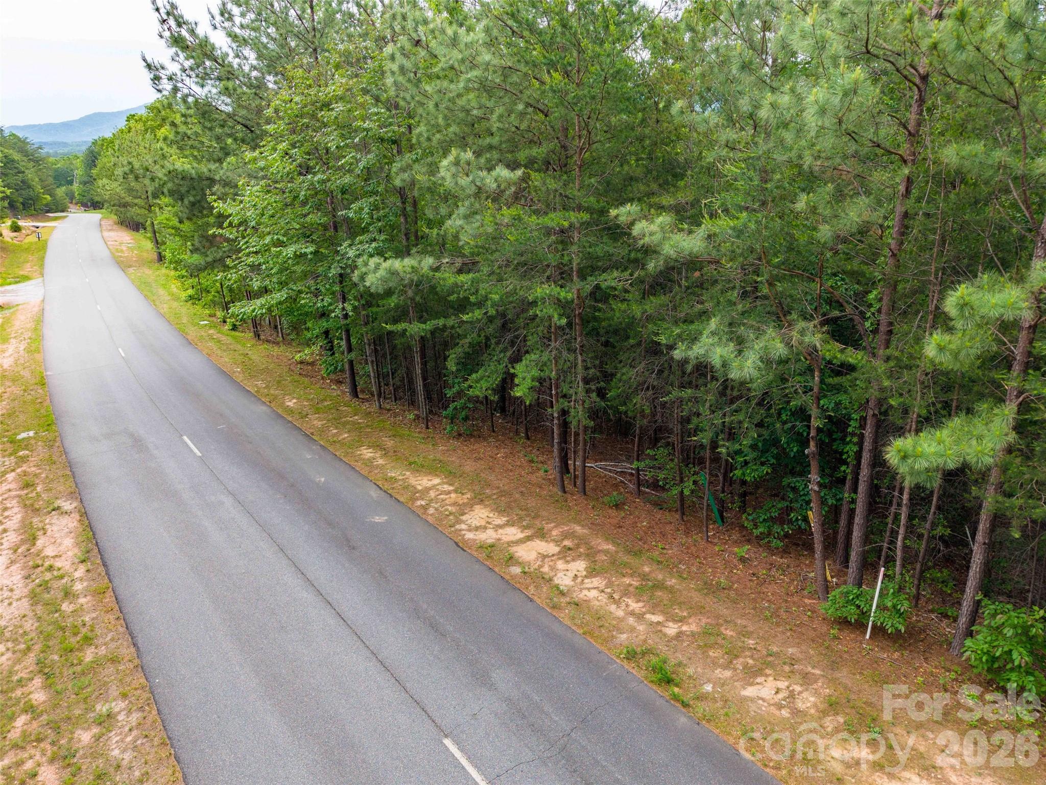 Lot 2009 Deep Gap Farm Rd Mill Spring West Mill Spring, NC 28756 - Photo 4 of 17