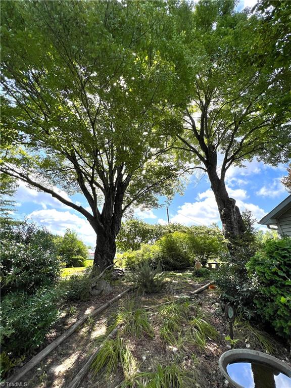 1063 Lemons Road Stokesdale, NC 27357 - Photo 12 of 32 Gallery Image 12