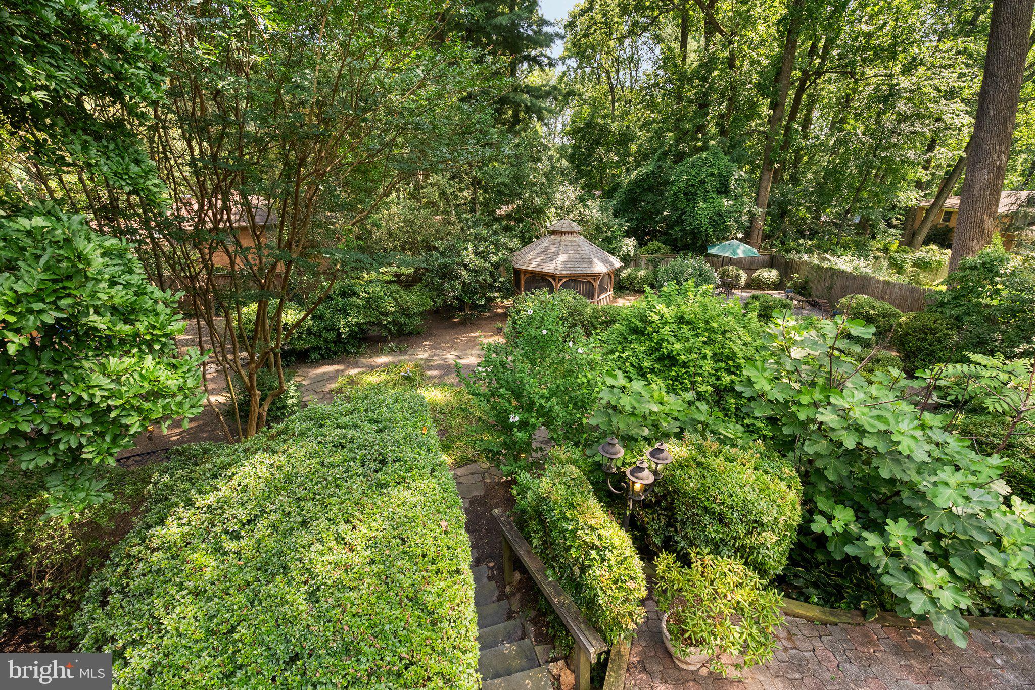 200 Eldrid Drive Silver Spring, MD 20904 - Photo 38 of 44 a view of a tree is in front of a house