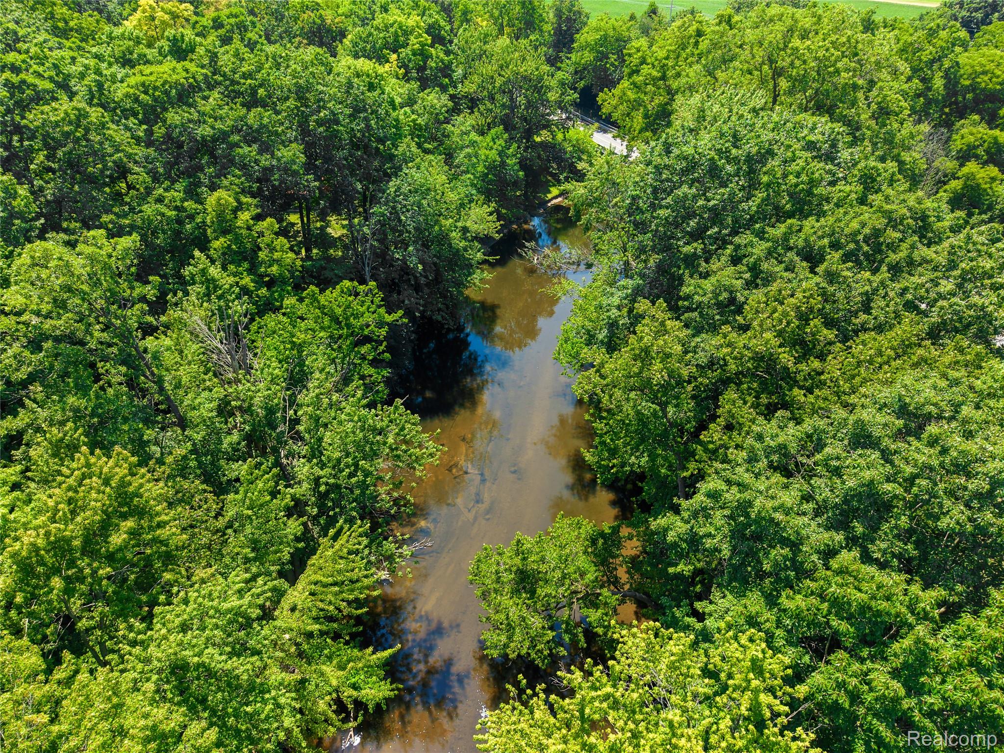 11651 South New Lothrop Road Byron, MI 48418 - Photo 15 of 19 Wooded property featuring a natural watercourse