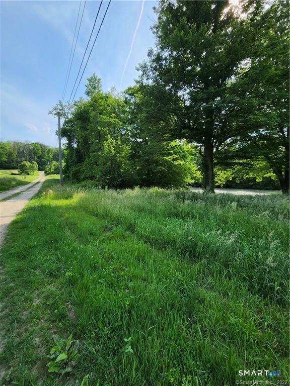100 Kahn Road Franklin, CT 06254 - Photo 2 of 5 a view of a lush green space