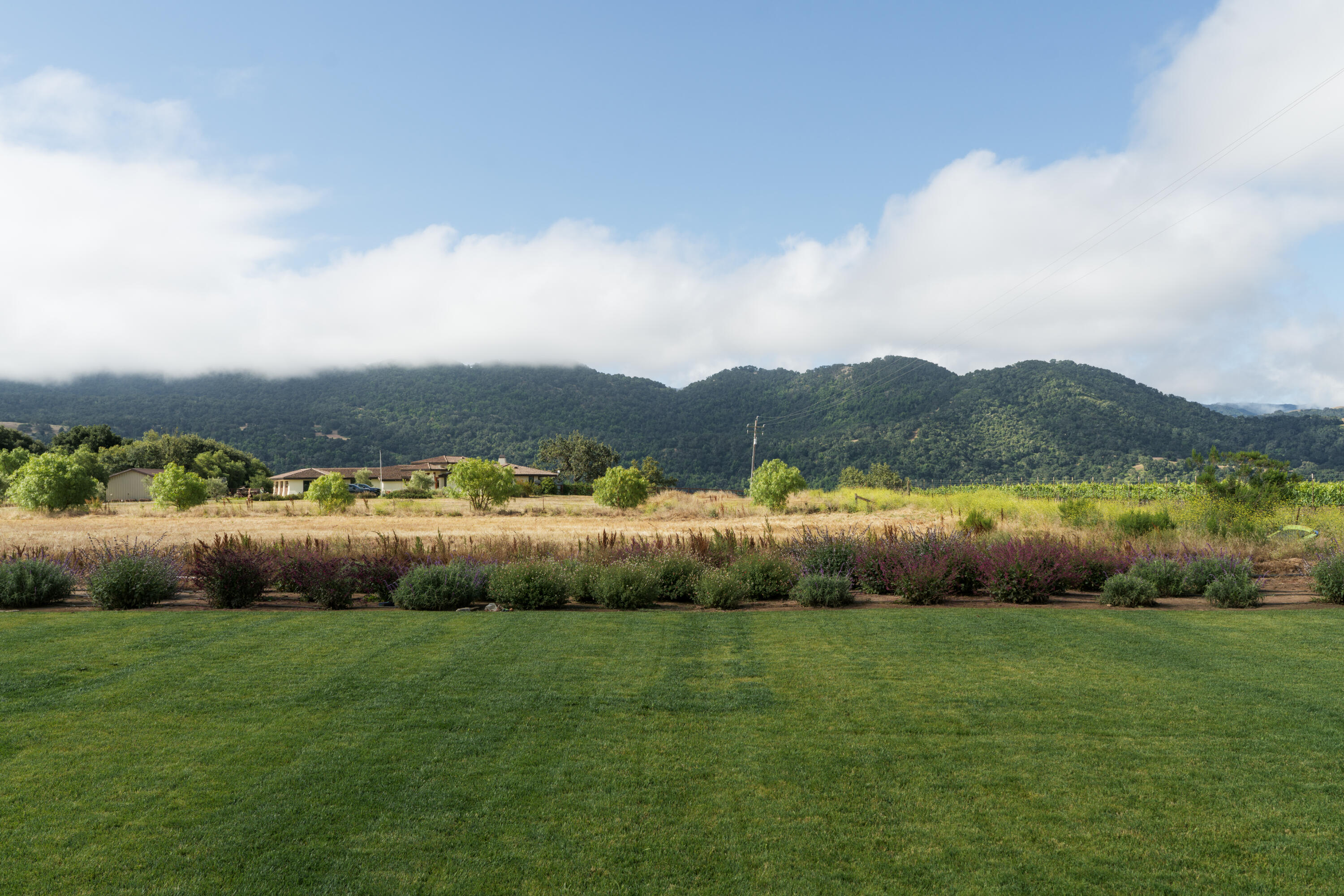 175 White Oak Road Santa Ynez, CA 93460 - Photo 31 of 44 Bedroom 2 Side View