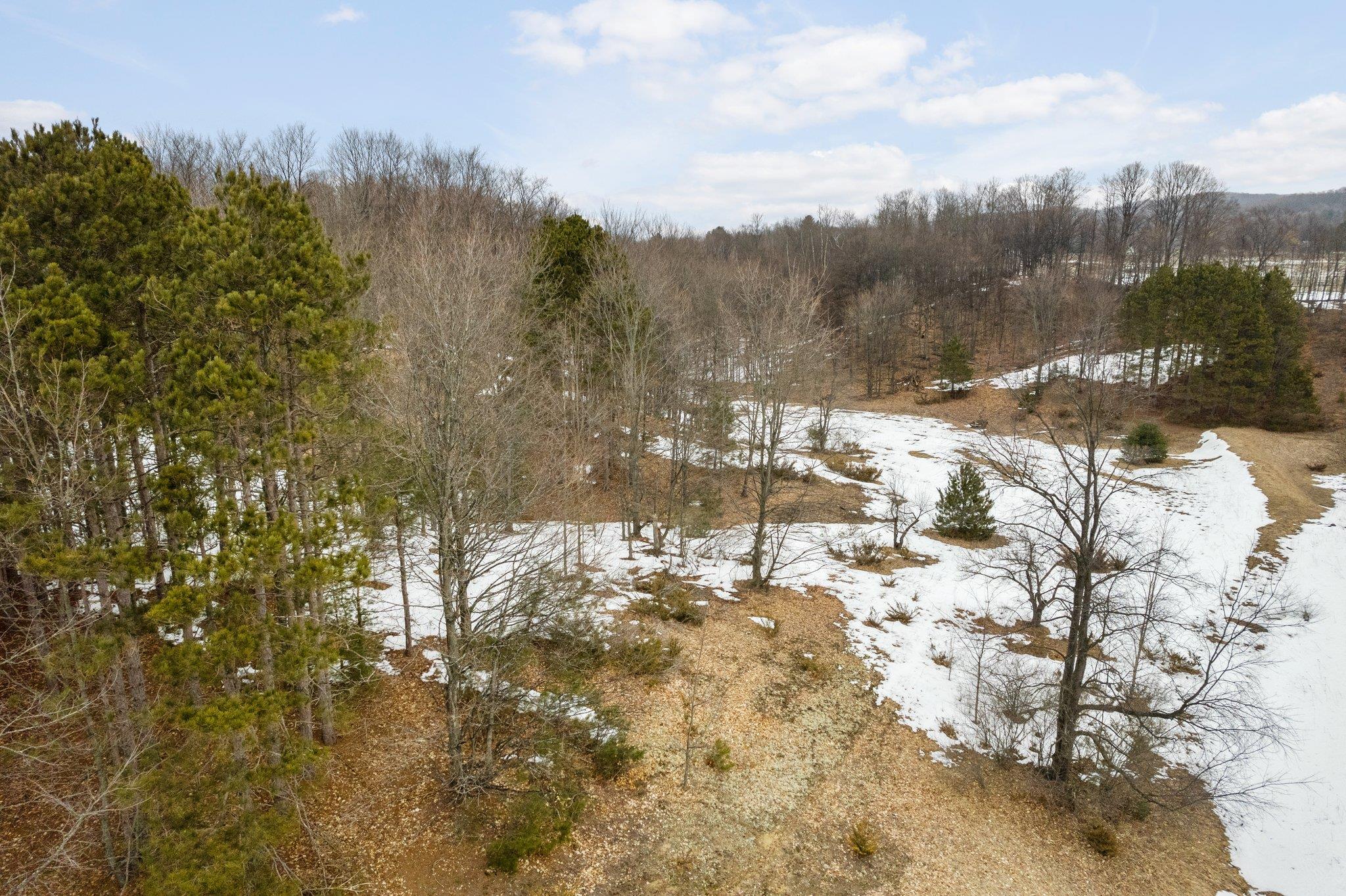 5 East Meander Lane Cedar, MI 49621 - Photo 17 of 36