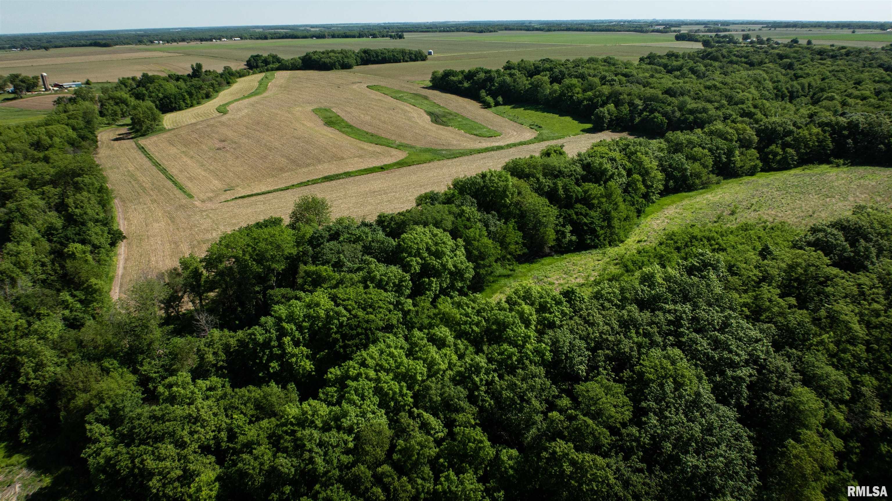 243 Il Route 97 Route Maquon, IL 61458 - Photo 10 of 41