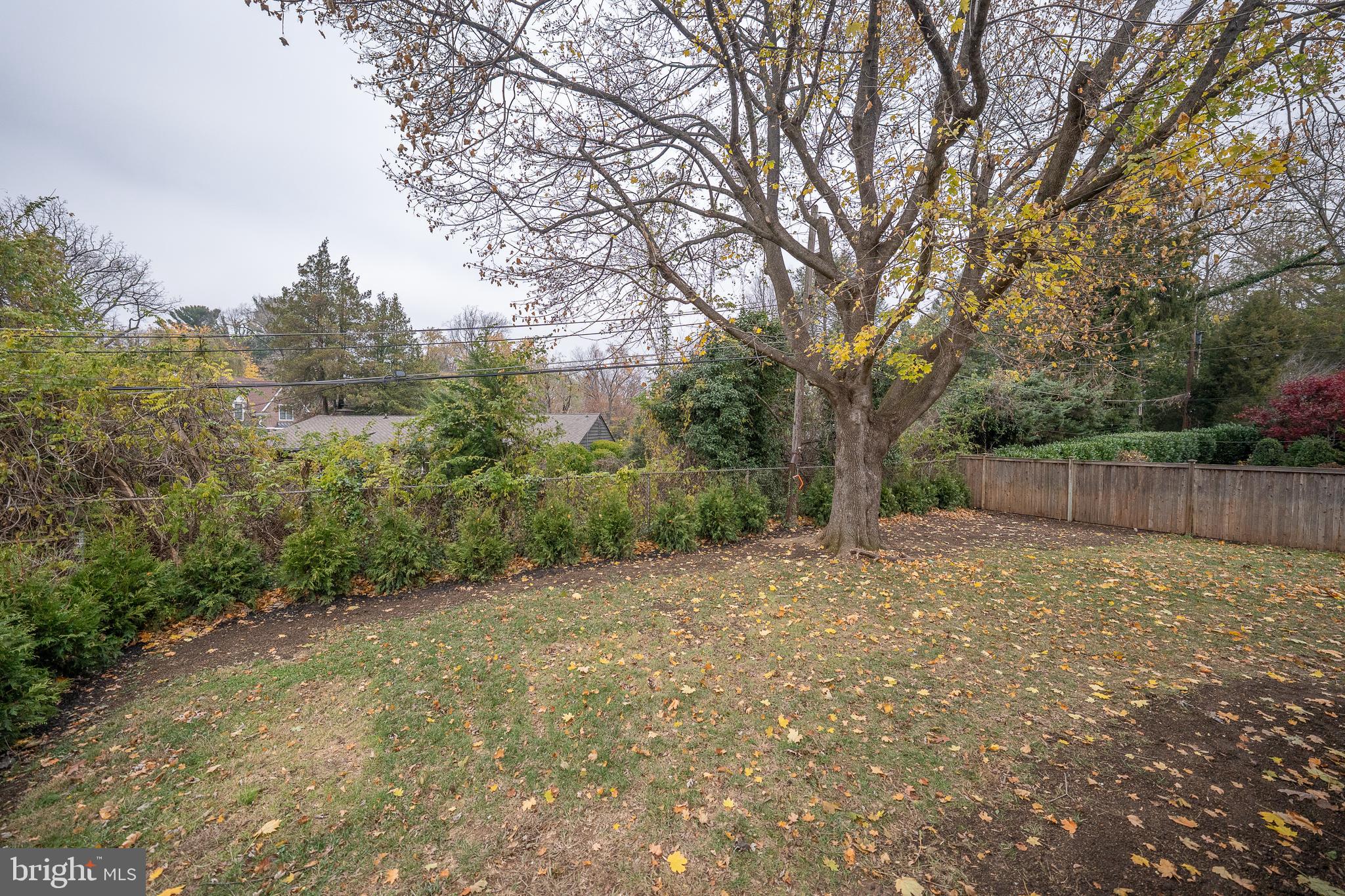 115 David Road Bala Cynwyd, PA 19004 - Photo 53 of 56 Large flat backyard