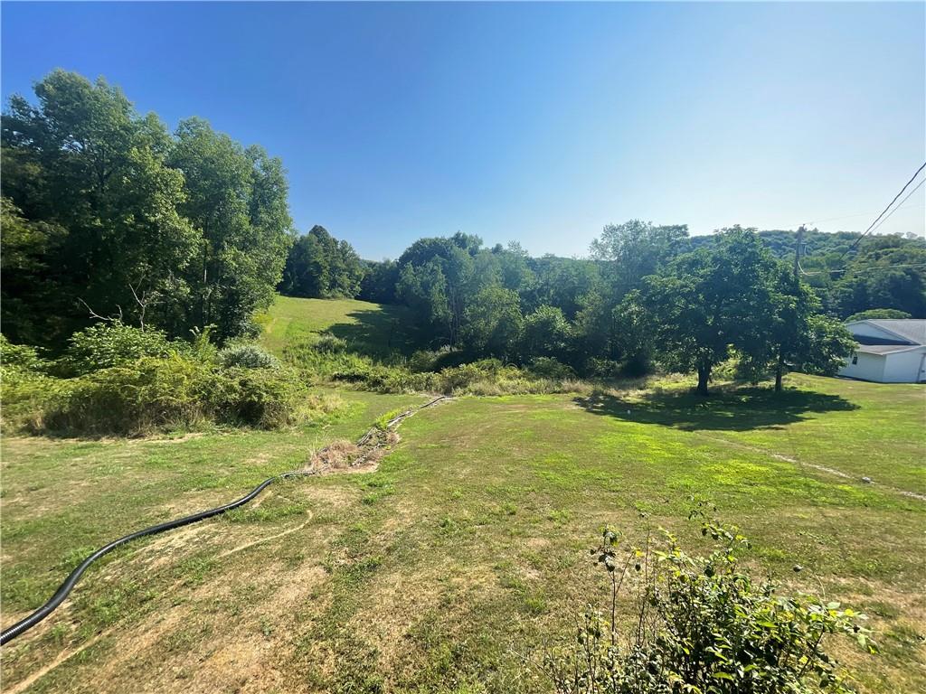 489 Jack Road Vandergrift, PA 15690 - Photo 28 of 46 a view of a swimming pool with a yard