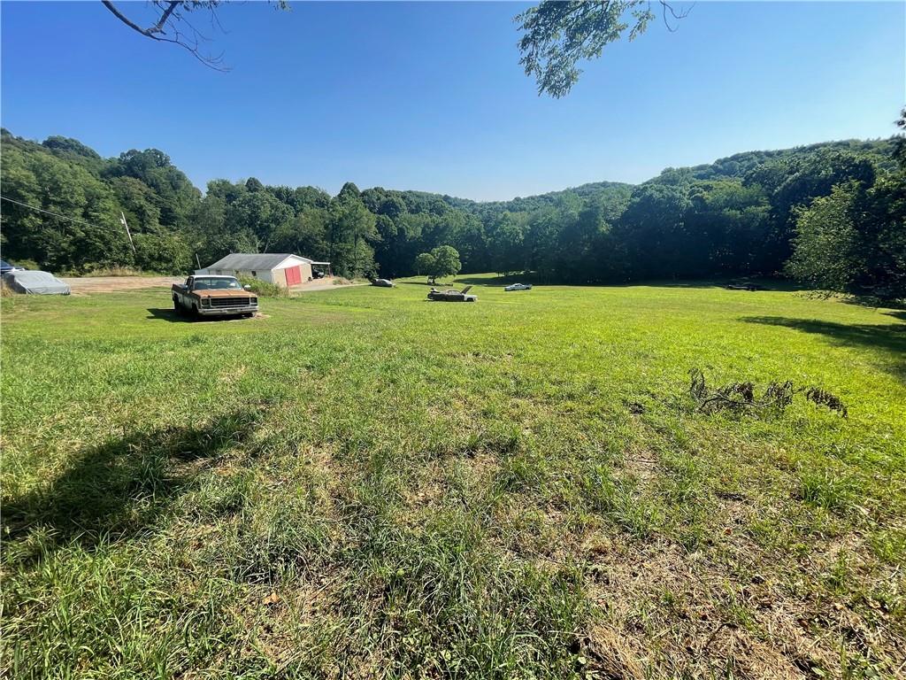489 Jack Road Vandergrift, PA 15690 - Photo 36 of 46 a view of a garden with mountain