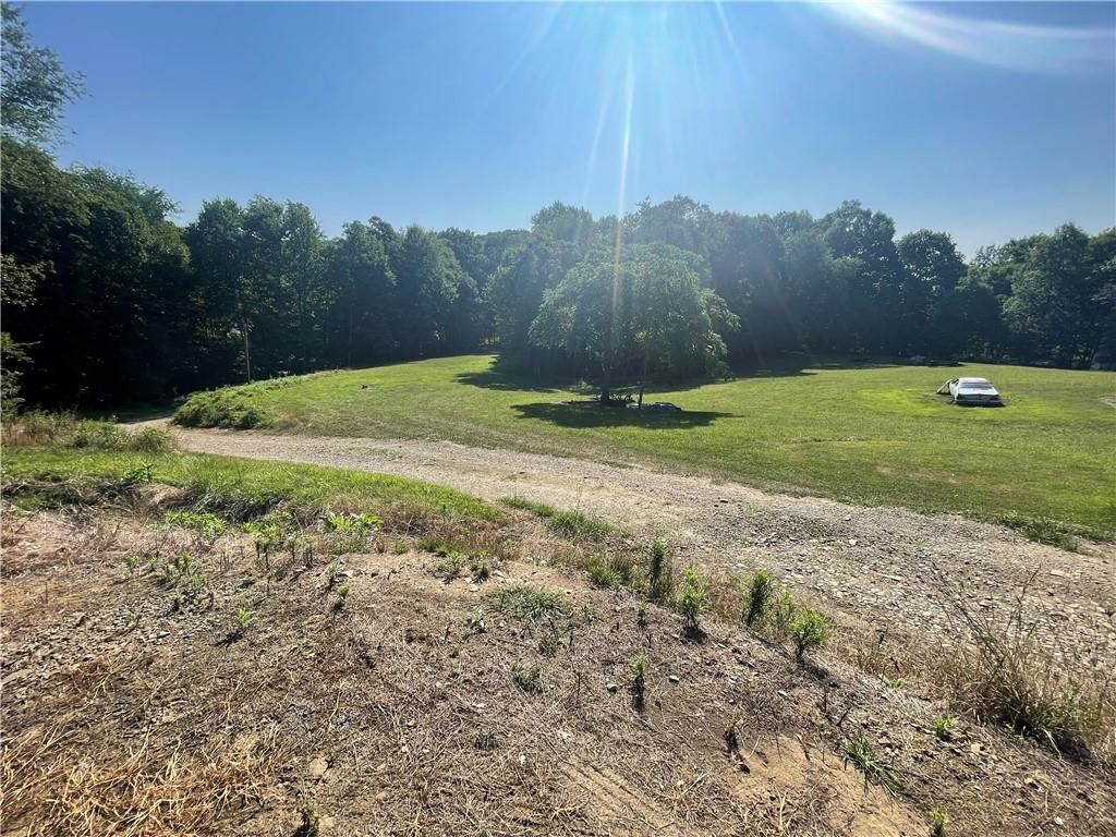 489 Jack Road Vandergrift, PA 15690 - Photo 38 of 46 a view of a backyard