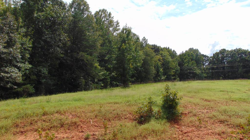 662 Birch Elmo Road, Unit 3B South Boston, VA 24592 - Photo 22 of 25 Gallery Image 22