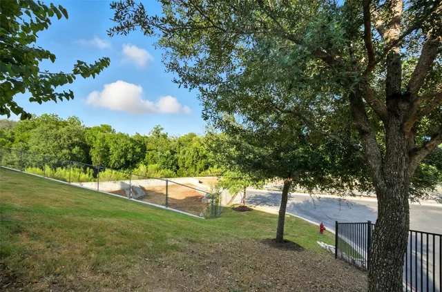 a view of park with tree s