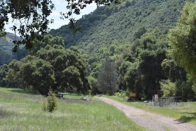 a backyard of a house with yard and trampoline