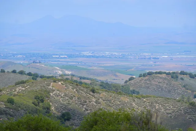 a view of a field with an ocean