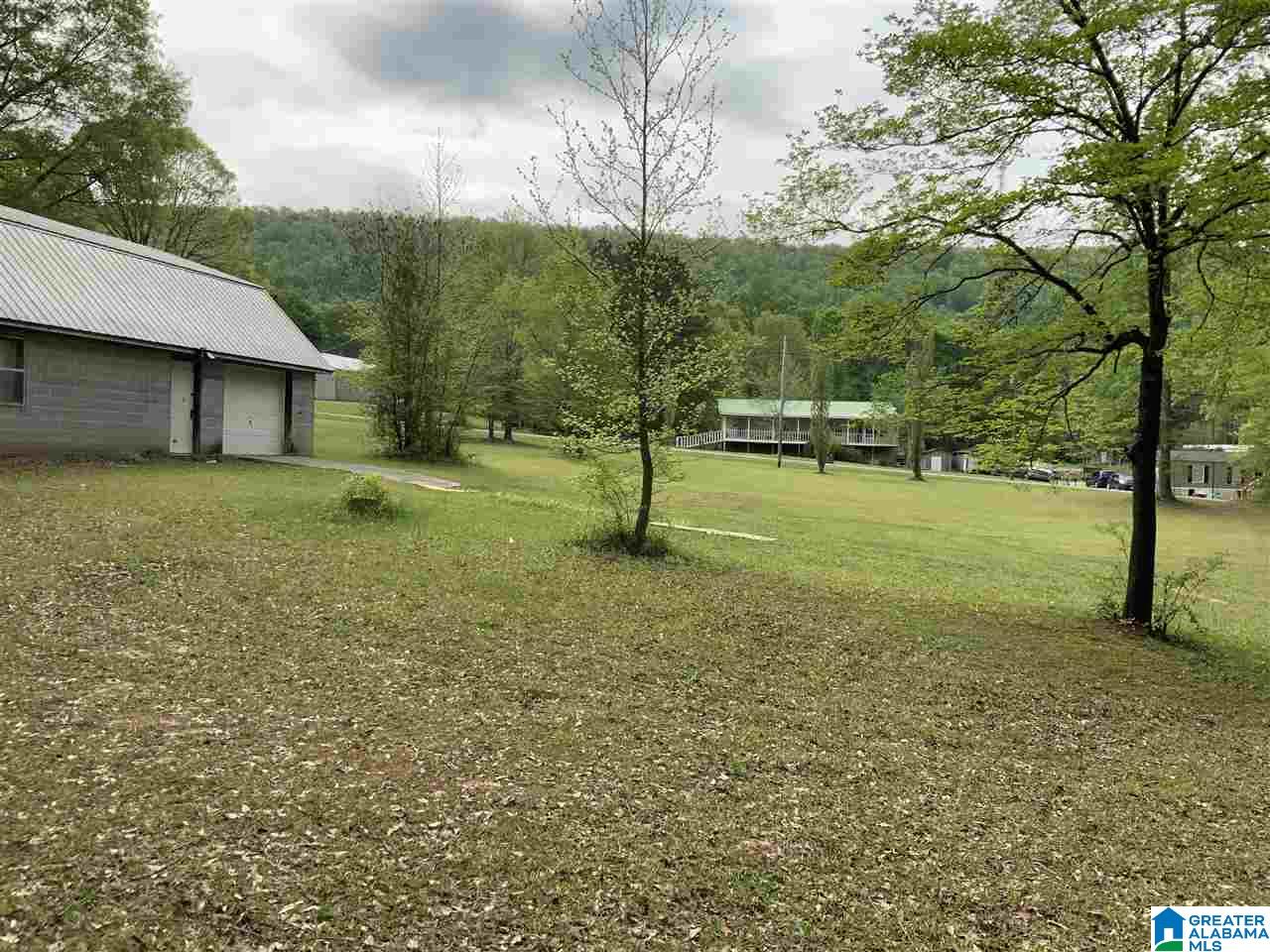 4865 Kelly Creek Road Odenville, AL 35120 - Photo 5 of 7