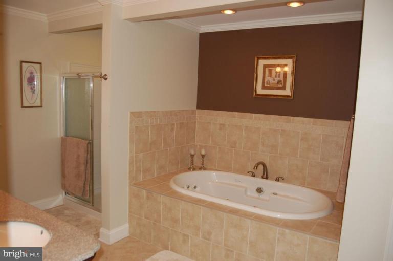 657 Bowling Green Road Front Royal, VA 22630 - Photo 17 of 30 Master Bath