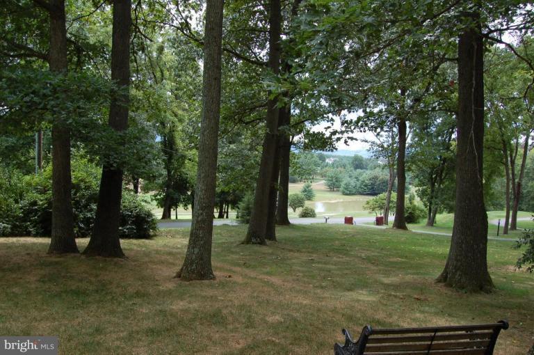 657 Bowling Green Road Front Royal, VA 22630 - Photo 3 of 30 View from Unit