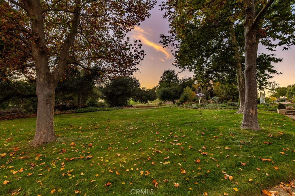 5415 Fairhills Road Paso Robles, CA 93446 - Photo 44 of 73 Established landscape.
