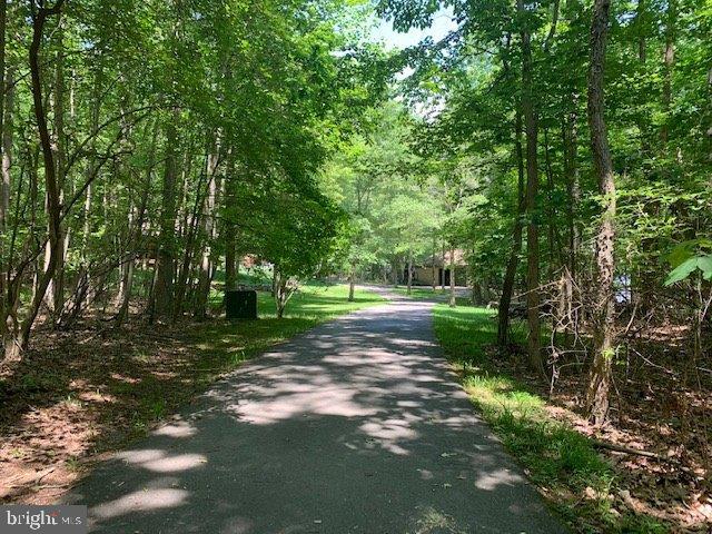 691 McKinneytown Road Elkton, MD 21921 - Photo 4 of 76 1100' Private Blacktopped Driveway-Secluded