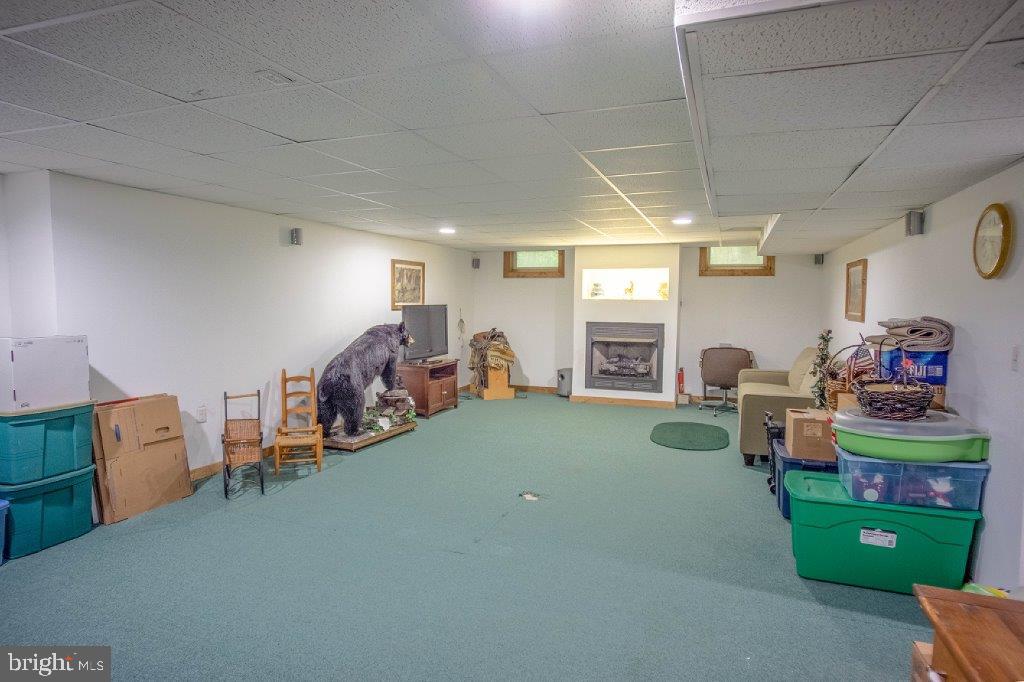 691 McKinneytown Road Elkton, MD 21921 - Photo 42 of 76 Walk out doors from basement