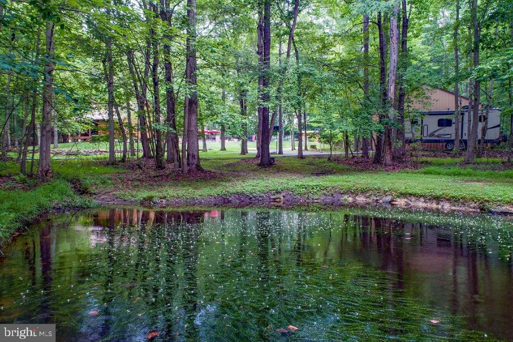 691 McKinneytown Road Elkton, MD 21921 - Photo 8 of 76 Enjoy nature with your own pond