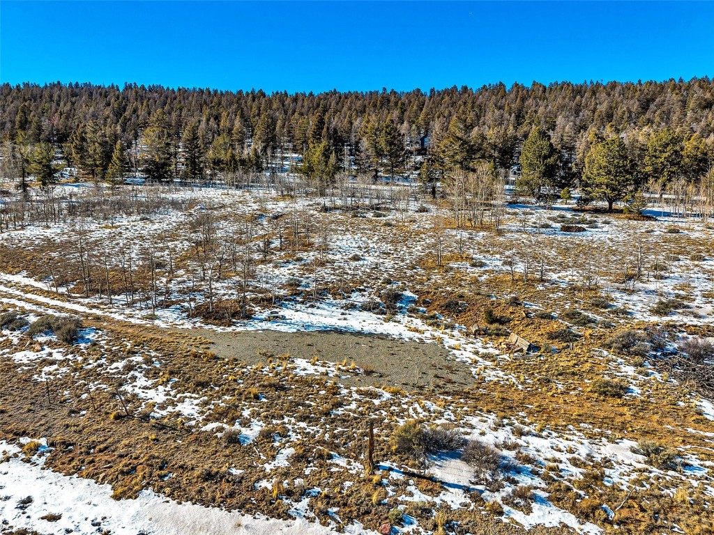 2996 Redhill Road Fairplay, CO 80440 - Photo 12 of 48 a view of a yard with wooden fence