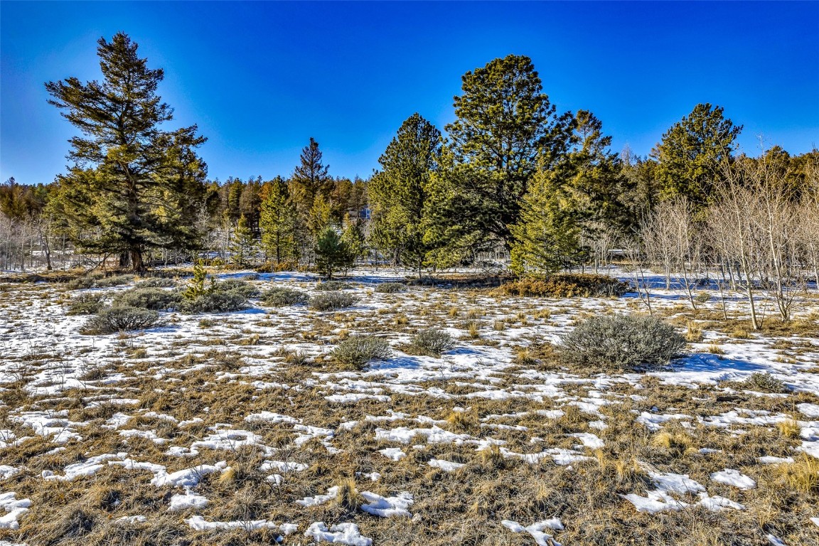 2996 Redhill Road Fairplay, CO 80440 - Photo 20 of 48 a view of a yard with a tree