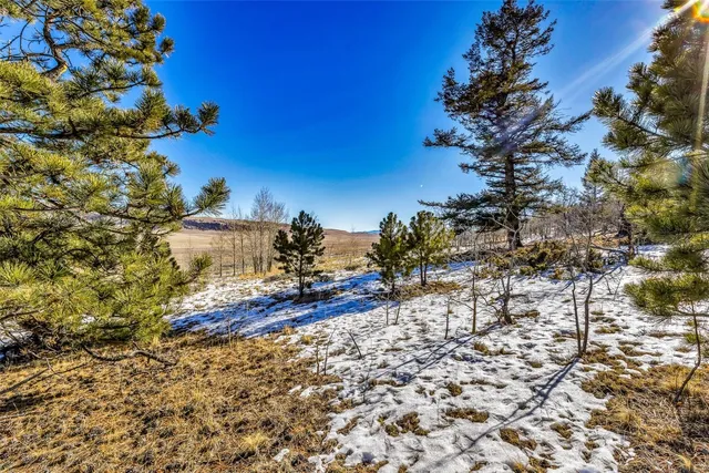 a view of a yard with wooden fence