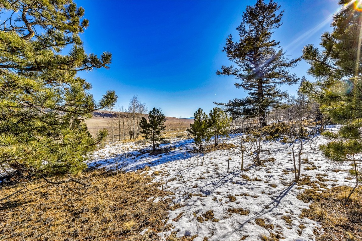 2996 Redhill Road Fairplay, CO 80440 - Photo 21 of 48 a view of a yard with a tree
