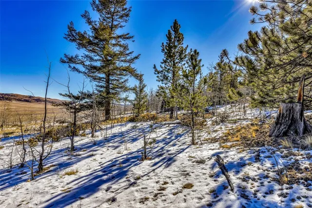 a view of a large yard with a tree
