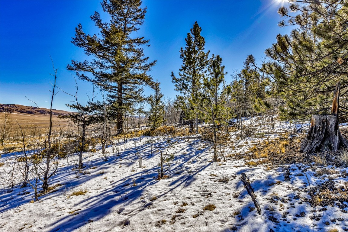 2996 Redhill Road Fairplay, CO 80440 - Photo 22 of 48 a view of a yard with wooden fence