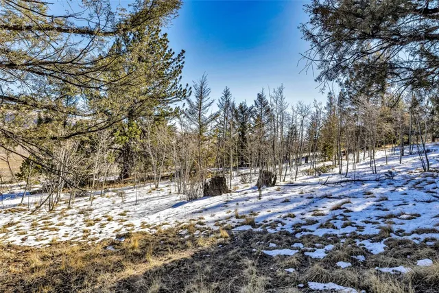 a view of empty yard