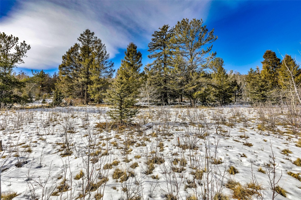 2996 Redhill Road Fairplay, CO 80440 - Photo 26 of 48 a view of empty yard