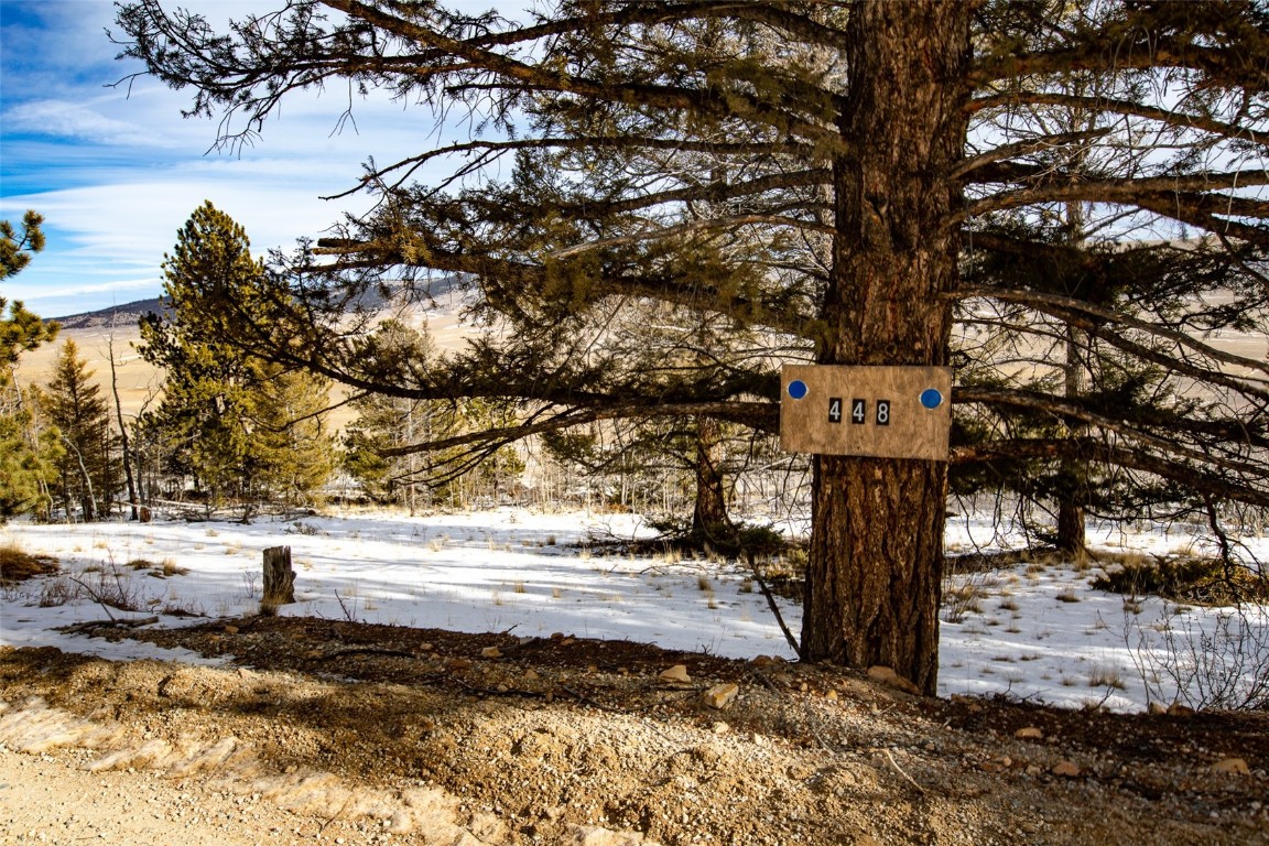 2996 Redhill Road Fairplay, CO 80440 - Photo 39 of 48