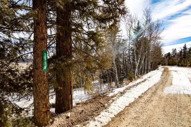 $74,000 | 2996 Redhill Road, Fairplay, CO 80440