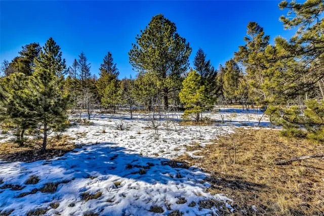 a view of outdoor space with trees