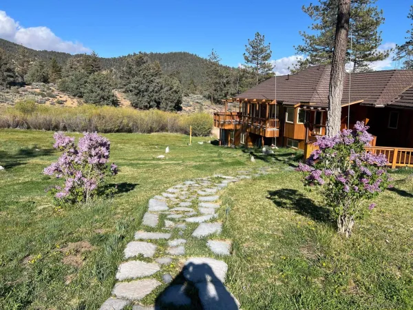 a view of a garden with a flower garden