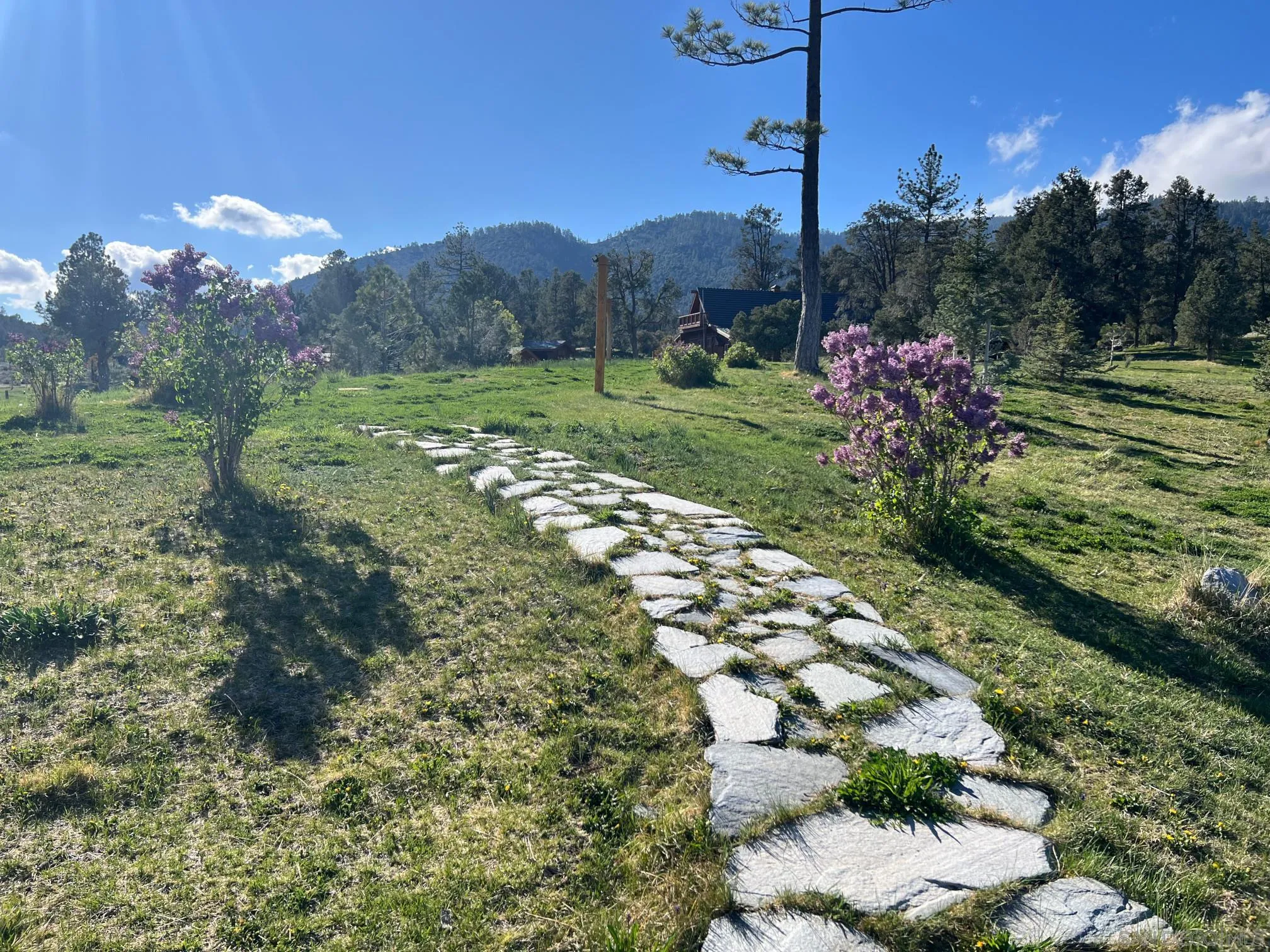 32890 Seymour Canyon Road Frazier Park, CA 93225 - Photo 5 of 17 a view of a house with a yard