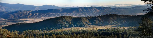 a view of outdoor space and yard