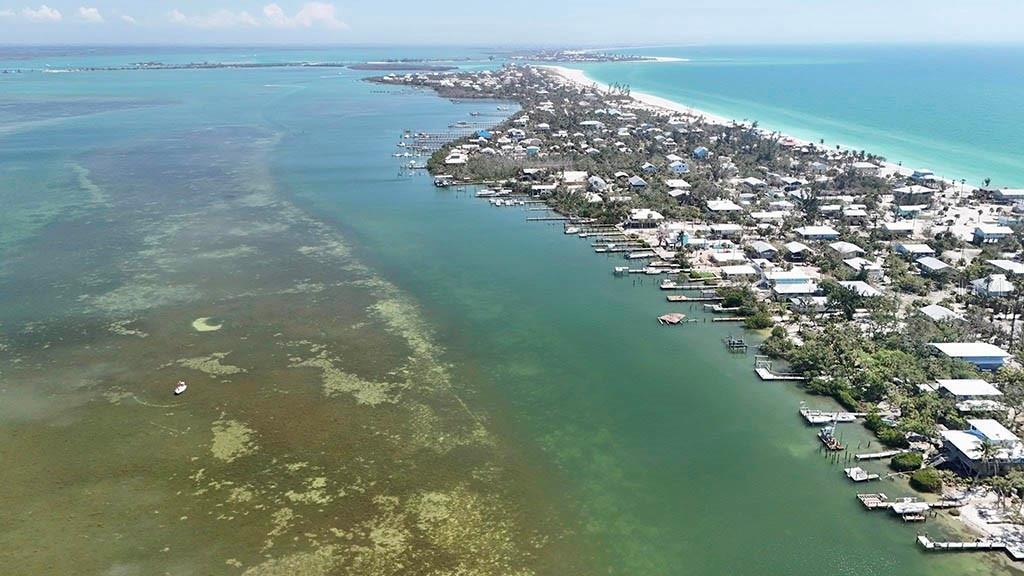 8168 Little Gasparilla Boca Grande, FL 33921 - Photo 9 of 22