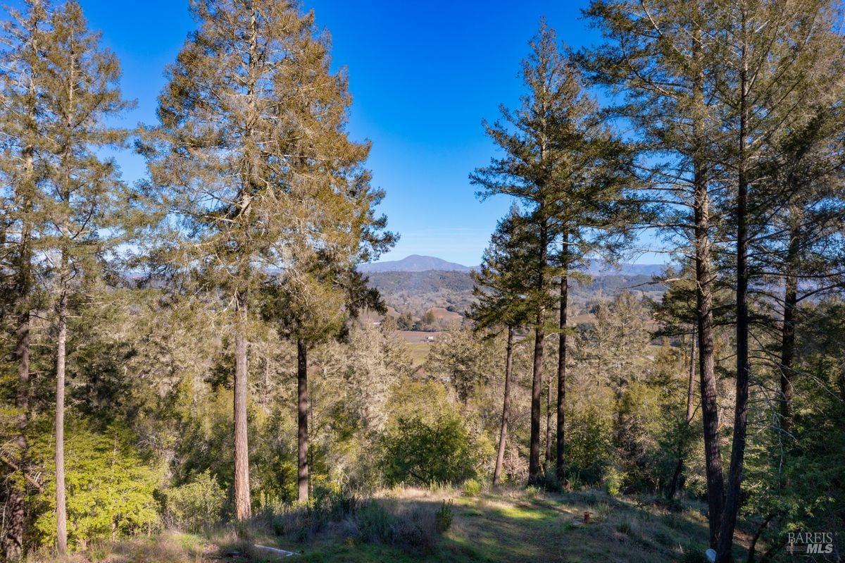 3210 West Dry Creek Road Healdsburg, CA 95448 - Photo 15 of 31