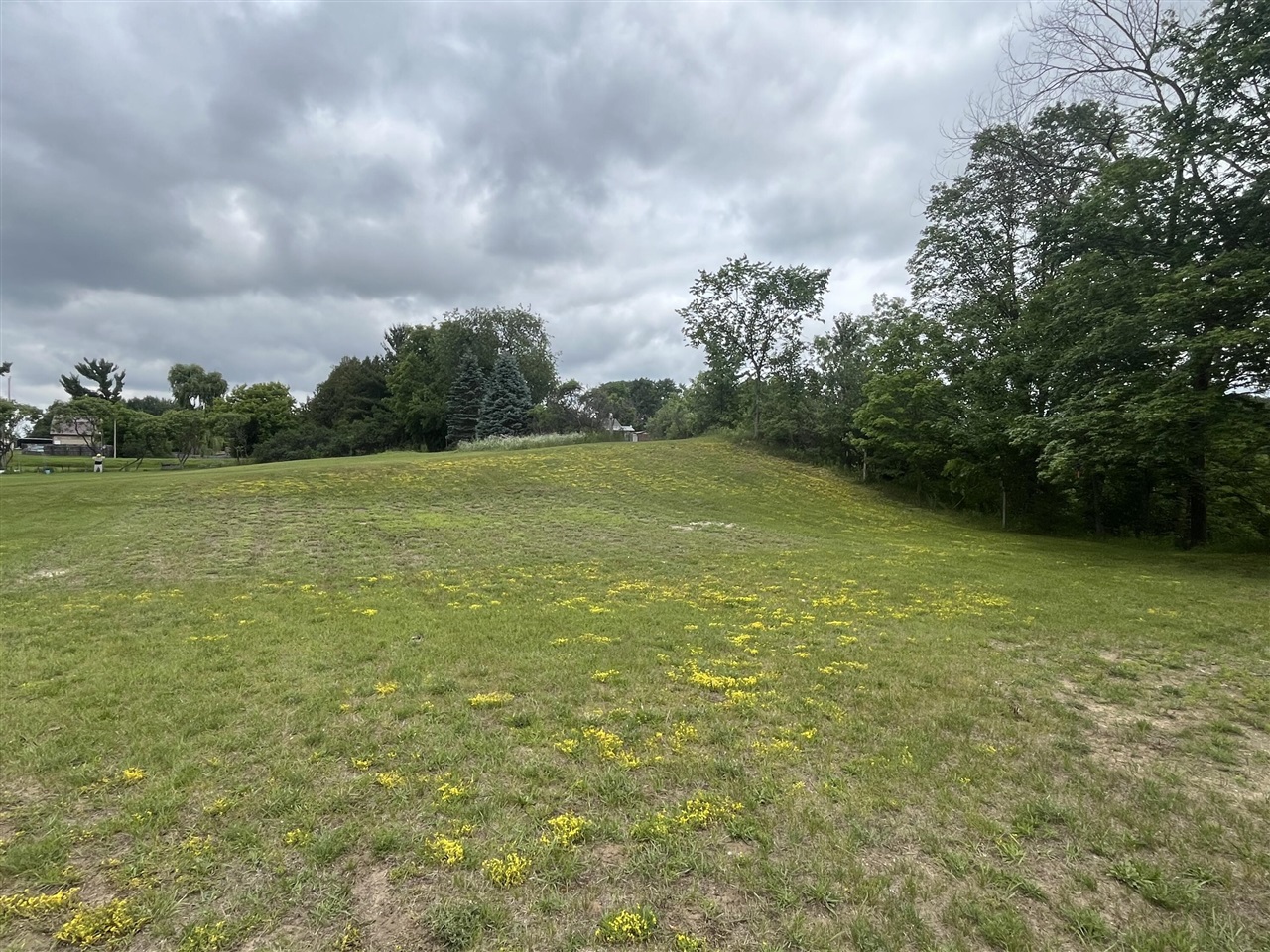 1172 Greenville Road Northwest Stanton, MI 48888 - Photo 25 of 28