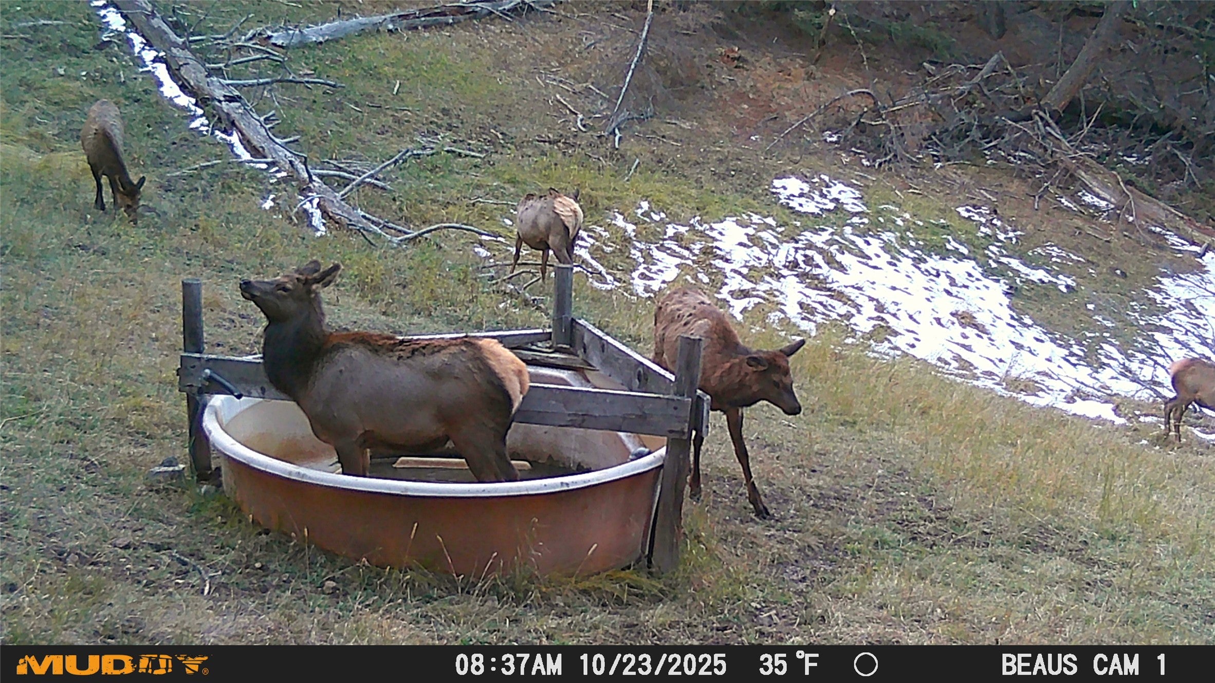 Lot 7 Ruby Mine Road Butte, MT 59701 - Photo 25 of 25 Gallery Image 25