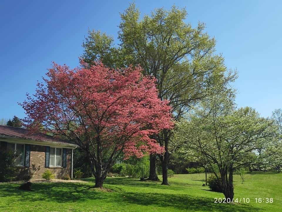 115 3 Springs Road Somerset, KY 42503 - Photo 6 of 15 34