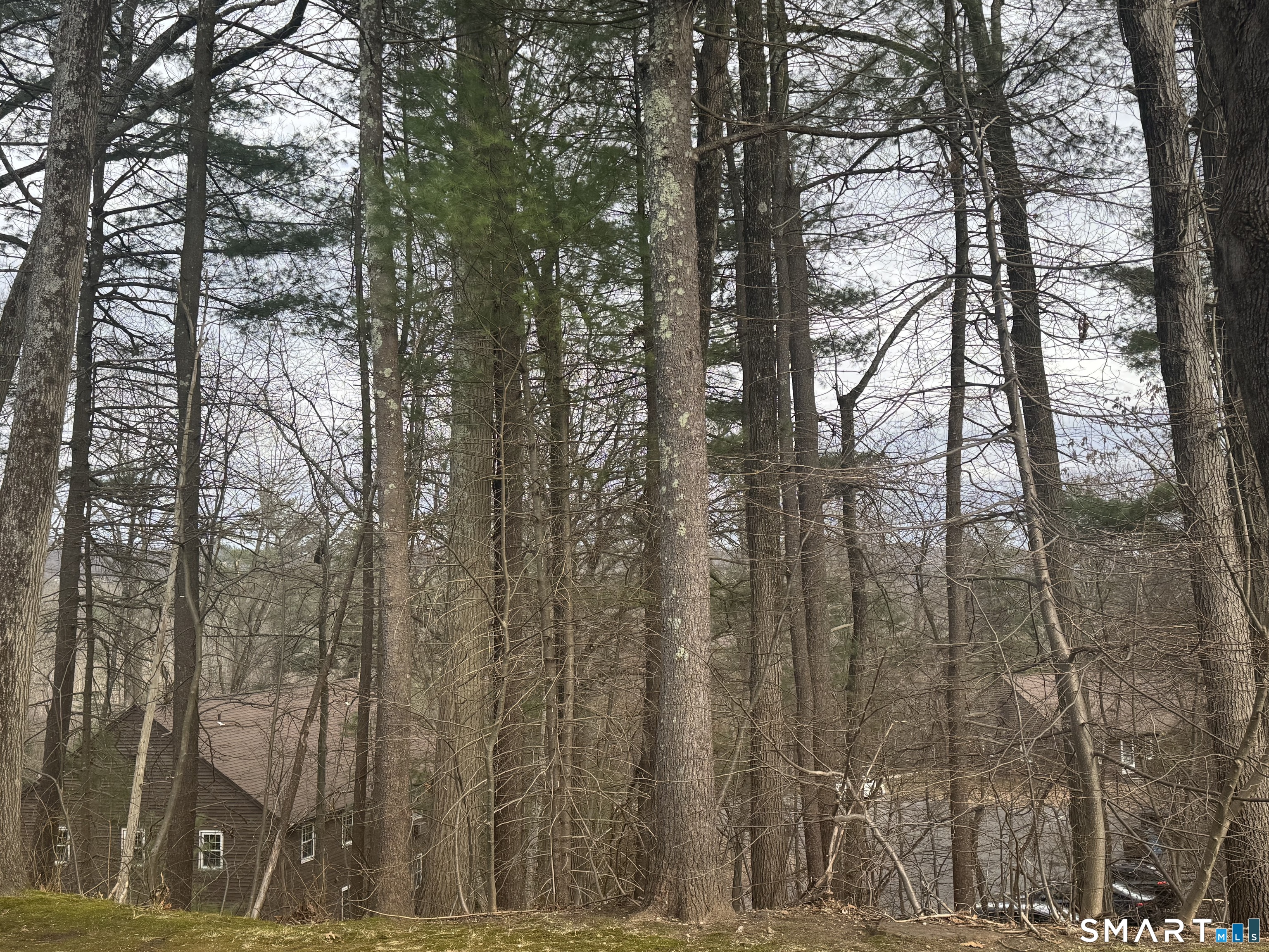 239 Old Farms Road, Unit 5C Avon, CT 06001 - Photo 12 of 14