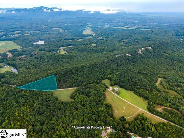 1 South Packs Mountain Road Taylors, SC 29687 - Photo 2 of 2